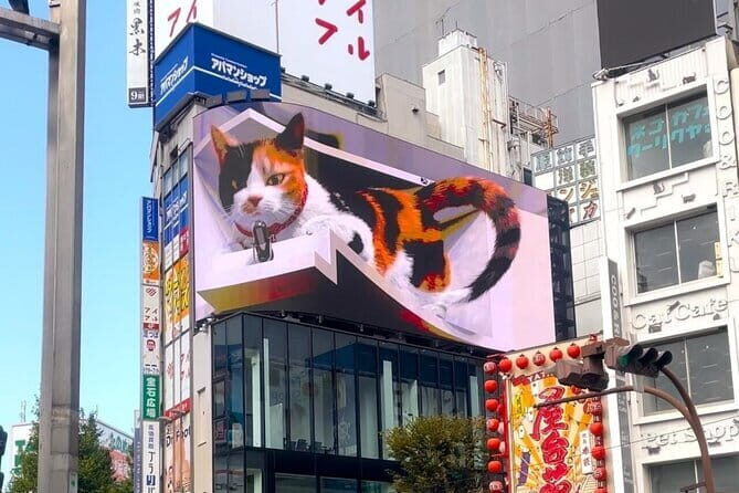 Tokyo Gotokuji Cat temple, Shinjuku Cat cafe and 3D Cat tour - Who Is This Tour Best For?