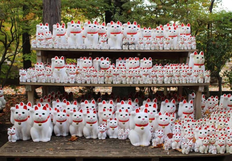 Tokyo: Gotokuji Temple and Shimokitazawa Day Tour - Exploring Gotokuji Temple: The Birthplace of the Maneki Neko