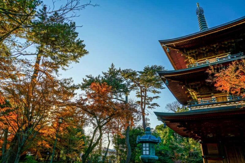 Tokyo: Gotokuji Temple and Shimokitazawa Day Tour - How the Tour is Structured