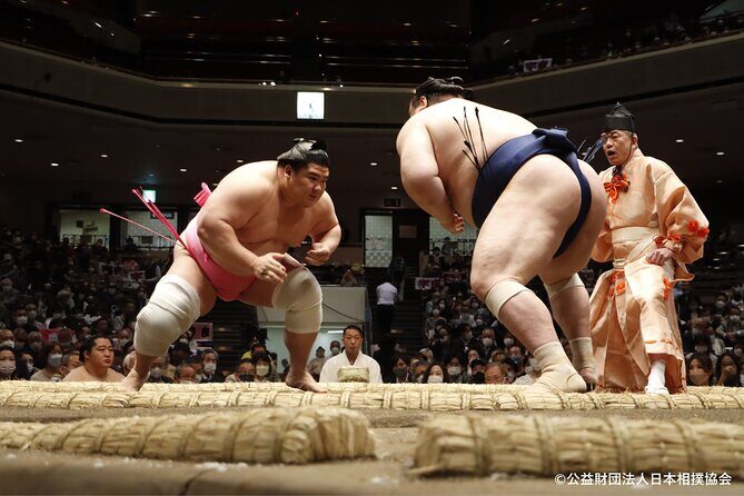 Tokyo Grand Sumo Tournament Viewing Tour - A Deep Dive into the Tour Experience