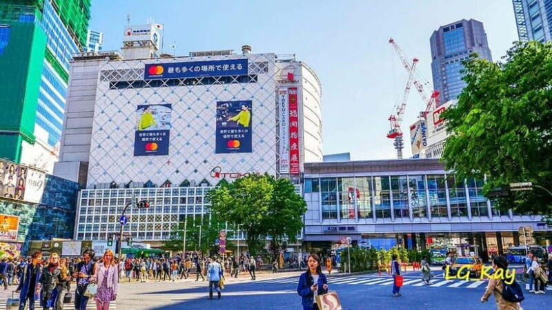 Tokyo: Guided Exploration with a Private Driver - Final Thoughts
