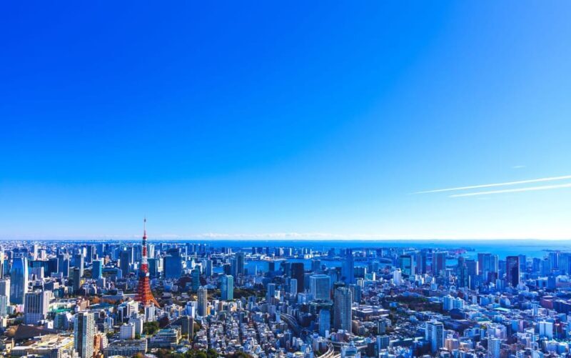 Tokyo: Guided Helicopter Ride with Mount Fuji Option - Is It Worth the Price?