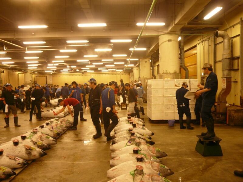 Tokyo: Guided Walking Tour of Tsukiji Market with Lunch - What to Expect from the Tour