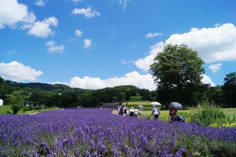 Tokyo: Gunma Scenic Day Trip with Fruit Picking, Crab Lunch - Final Thoughts