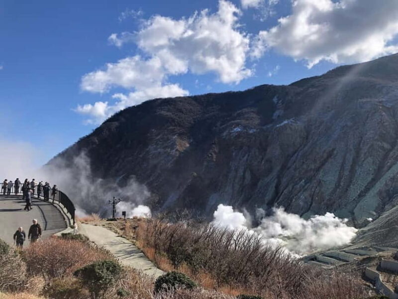 Tokyo: Hakone Fuji Day Tour w/ Cruise, Cable Car, Volcano - Practical Tips for Travelers