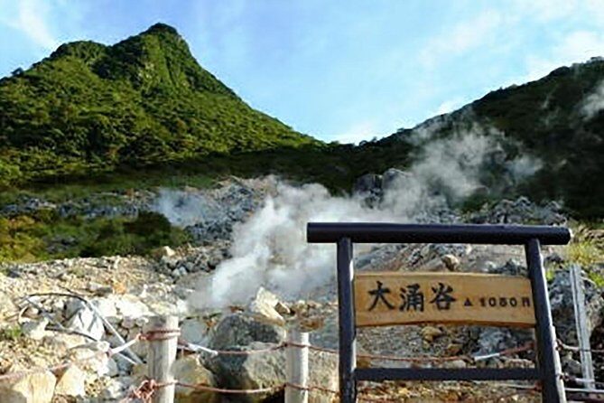 Tokyo: Hakone Fuji Day Tour w/ Cruise, Cable Car, Volcano - Final Thoughts