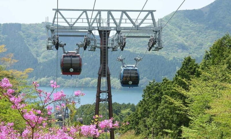 Tokyo: Hakone, Lake Ashi & Gotemba Outlets Day Trip - Key Points