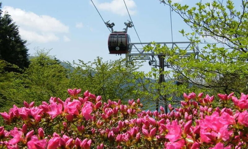 Tokyo: Hakone, Lake Ashi & Gotemba Outlets Day Trip - Exploring the Itinerary: What You Can Expect