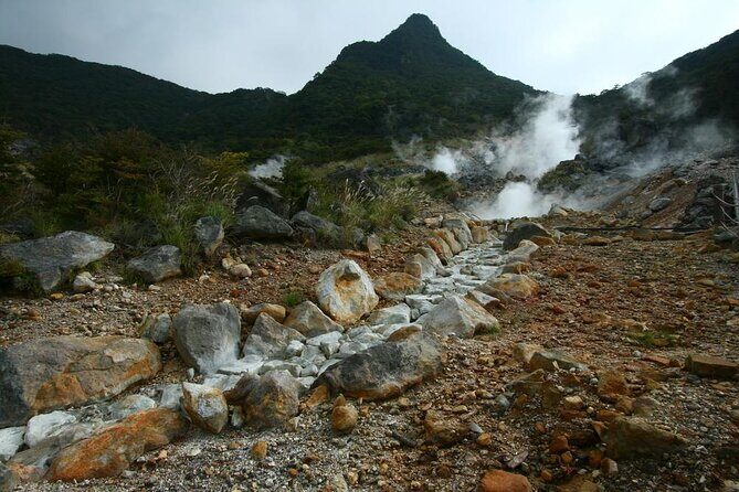 Tokyo Hakone : Mt.Fuji, Owakudani, Open Air Museum, Hakone Shrine - Key Points