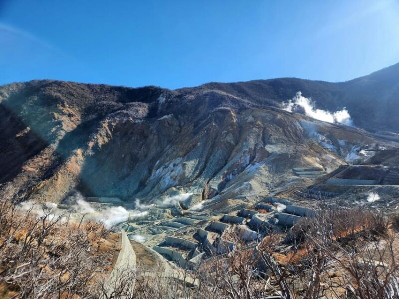 Tokyo : Hakone Onsen Nature & Art Lake Ashi private day tour - A Closer Look at the Itinerary and Experiences