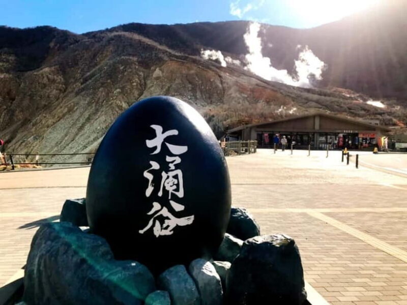 Tokyo: Hakone, Owakudani & Gotemba Premium Outlet 1-Day Tour - Discovering the Highlights of the Tour