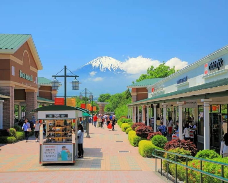 Tokyo: Hakone, Owakudani & Gotemba Premium Outlet 1-Day Tour - Who Should Consider This Tour?