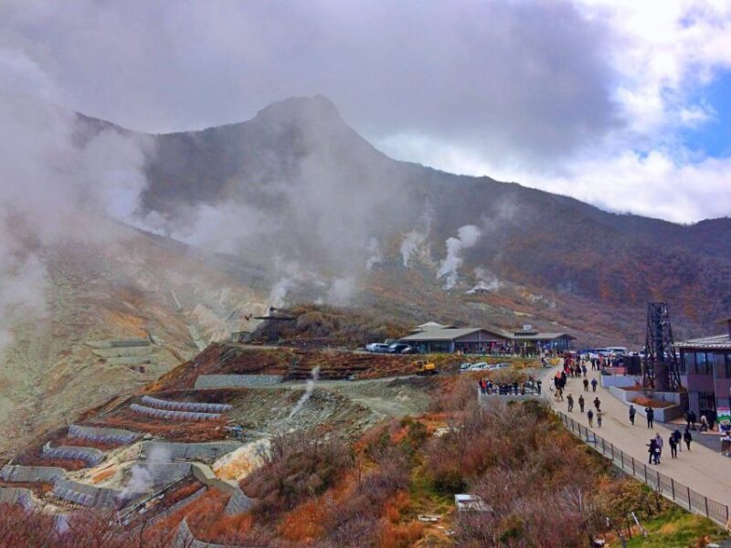 Tokyo: Hakone, Owakudani & Gotemba Premium Outlet 1-Day Tour - Frequently Asked Questions