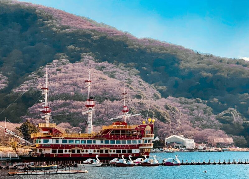 Tokyo: Hakone Private Day Trip with English Speaking Driver - Key Points