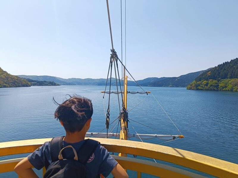 Tokyo: Hakone Private Day Trip with English Speaking Driver - An Honest Look at the Hakone Private Day Trip