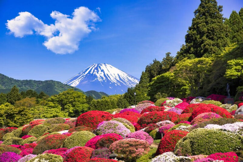Tokyo : HAKONE x 3XPERIENCE's+OWAKUDANI+GOTEMBA (1 day tour) - Introduction: Why Choose This Hakone Tour?