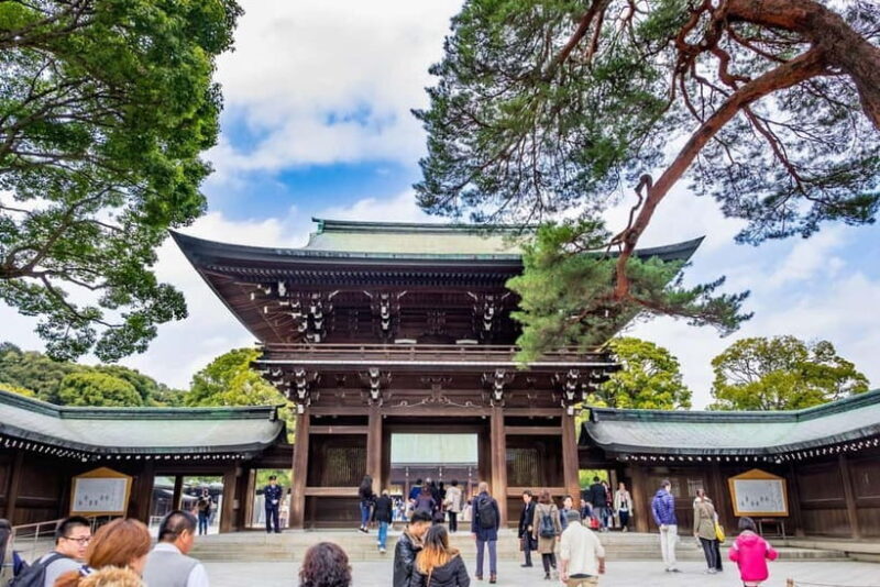 Tokyo: Half-Day Afternoon Small Group Tour - Key Points