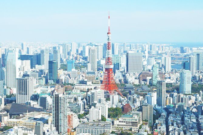 Tokyo Half-day Customized Private Tour - Balancing Cost and Value