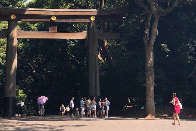 Tokyo Half-day Customized Private Tour - Who Is This Tour Best For?