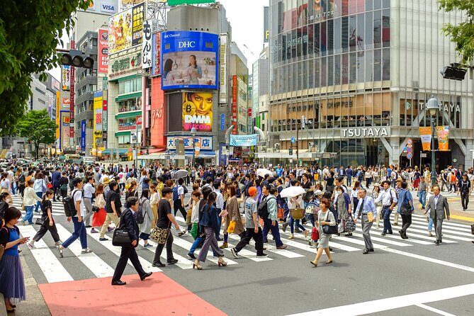 Tokyo Half-day Customized Private Tour - Final Thoughts