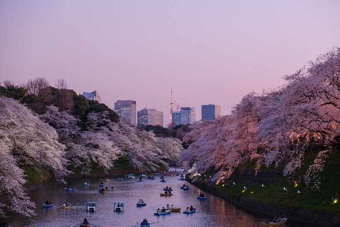 Tokyo Half-day Customized Private Tour - Frequently Asked Questions
