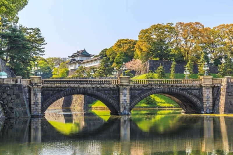 Tokyo: Half-Day Morning Small Group Tour - An Overview of the Tour Experience