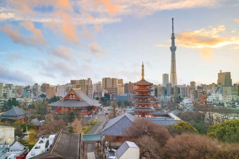 Tokyo: Half-Day Morning Small Group Tour - Practical Considerations