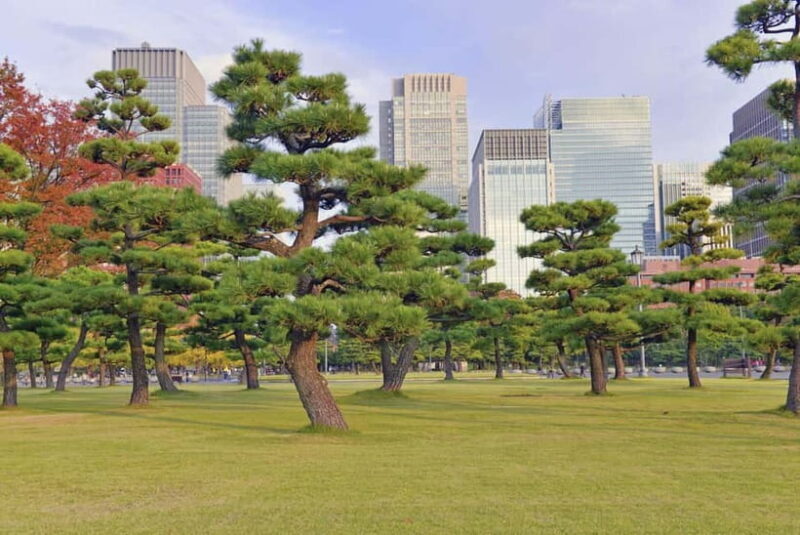 Tokyo: Half-Day Morning Small Group Tour - FAQ