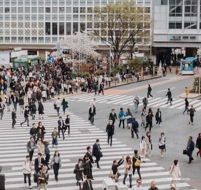 Tokyo, half day : private tour with an expert ! - Who Will Enjoy This Tour?