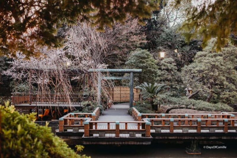 Tokyo, half day : private tour with an expert ! - Final Thoughts: Who Is This Tour Best For?