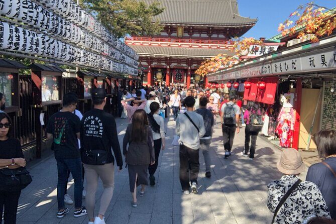 Tokyo Half Walking Day Tour with a Local Expert Guide - Who Should Consider This Tour?
