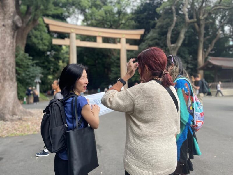 Tokyo: Harajuku From Meiji shrine to Shibuya Crossing - Who Should Consider This Tour?