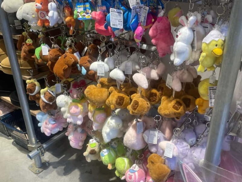 Tokyo: Harajuku "Kawaii" Pop Culture Shopping tour - FAQ