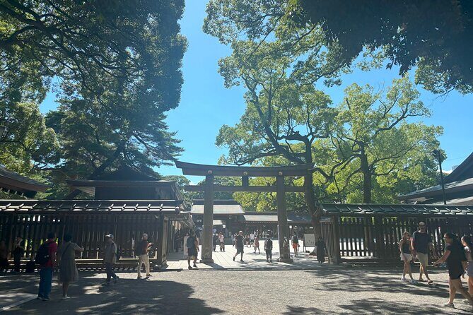 Tokyo Harajuku Walking Tour Meiji Jingu Yoyogi Park and More - Takeshita Street: The Heartbeat of Youth Culture