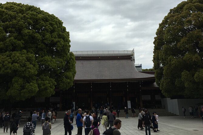 Tokyo Highlights Food and Culture - Key Points