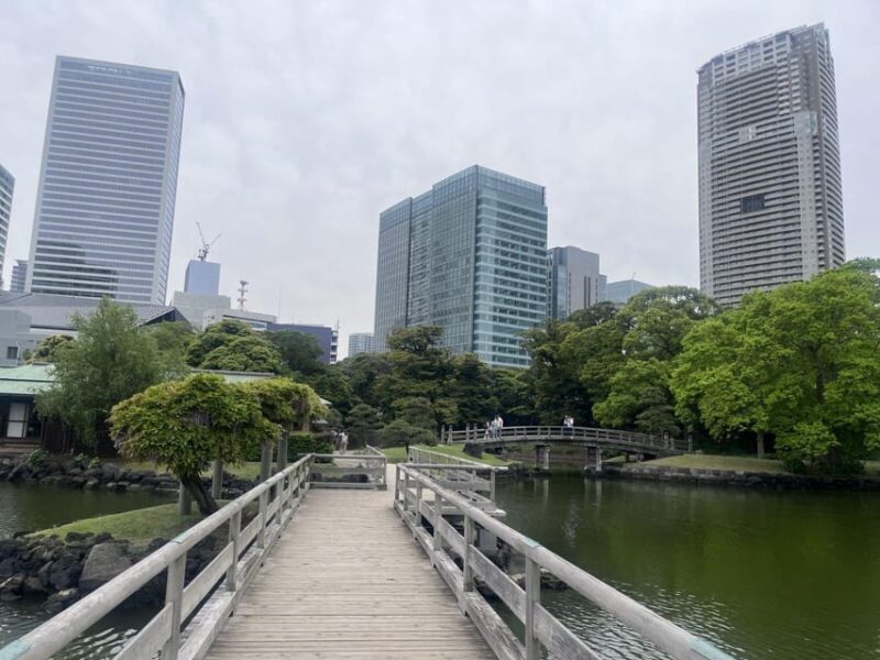 Tokyo Highlights Tour: Sumo, Sushi, Tea, and Tokyo Tower - What’s Included and What’s Not