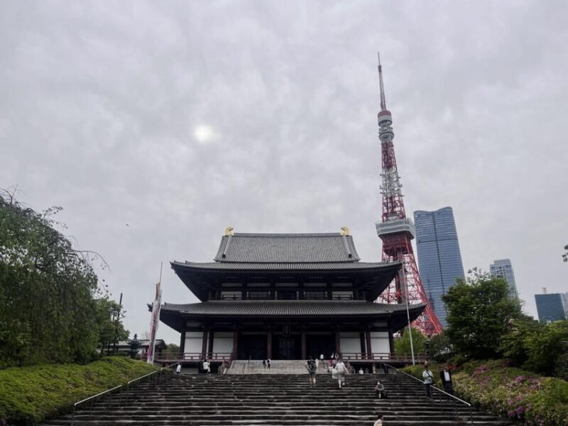 Tokyo Highlights Tour: Sumo, Sushi, Tea, and Tokyo Tower - Final Thoughts