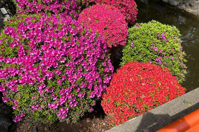 Tokyo Historian and Photographer Private Tour - Who Should Consider This Tour?