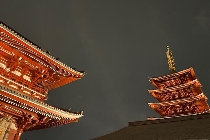 Tokyo Historian and Photographer Private Tour - Final Thoughts on Value and Experience