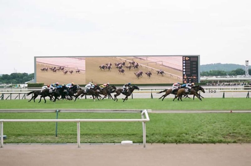 Tokyo: Horse Racing Tour with Local Fan - What Makes This Horse Racing Tour Stand Out?