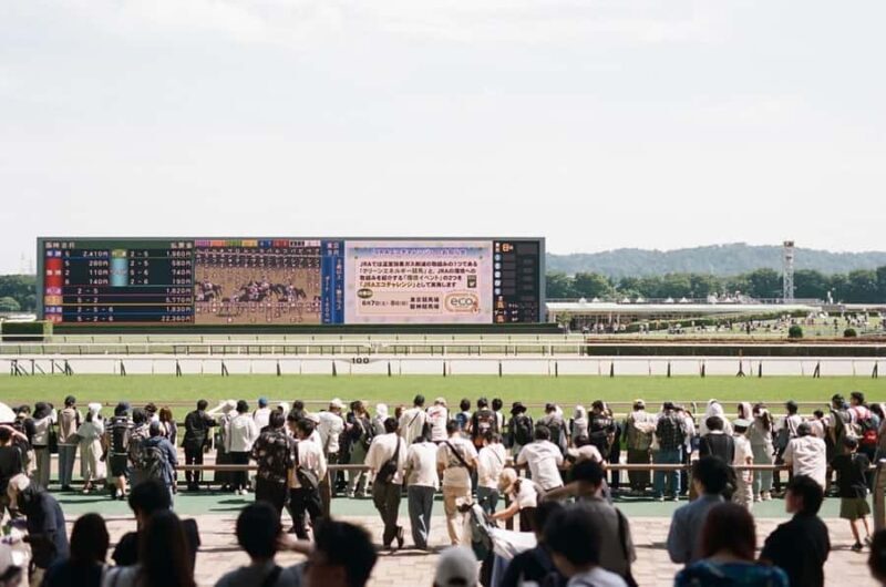 Tokyo: Horse Racing Tour with Local Fan - Learning to Bet Like a Local