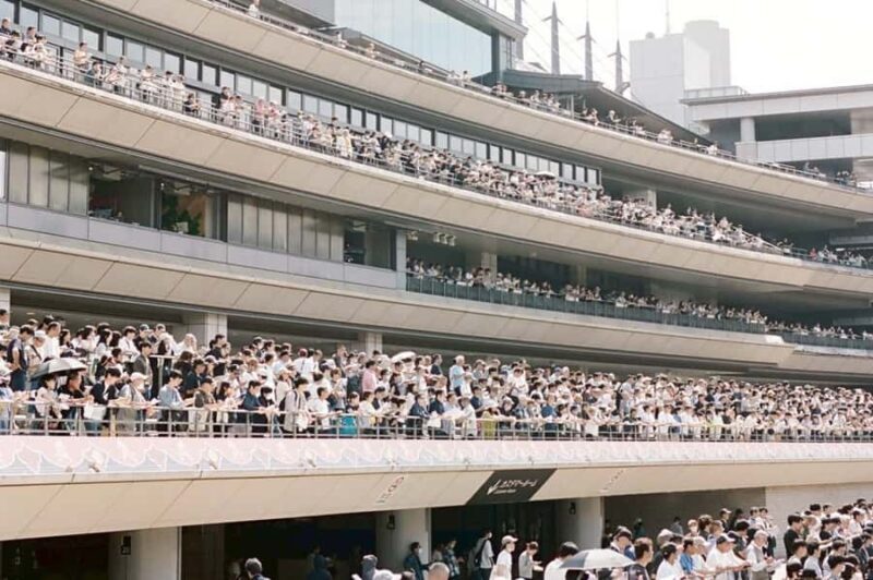 Tokyo: Horse Racing Tour with Local Fan - The Sum Up