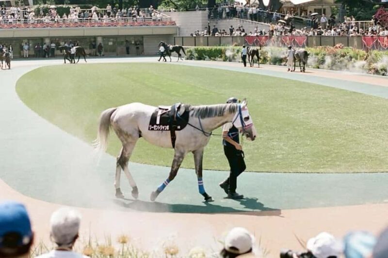 Tokyo: Horse Racing Tour with Local Fan - FAQ