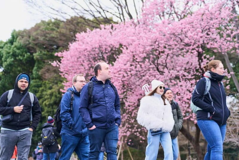 Tokyo: Imperial Palace & Tokyo Castle History Walking Tour - An In-Depth Look: What You’ll Experience