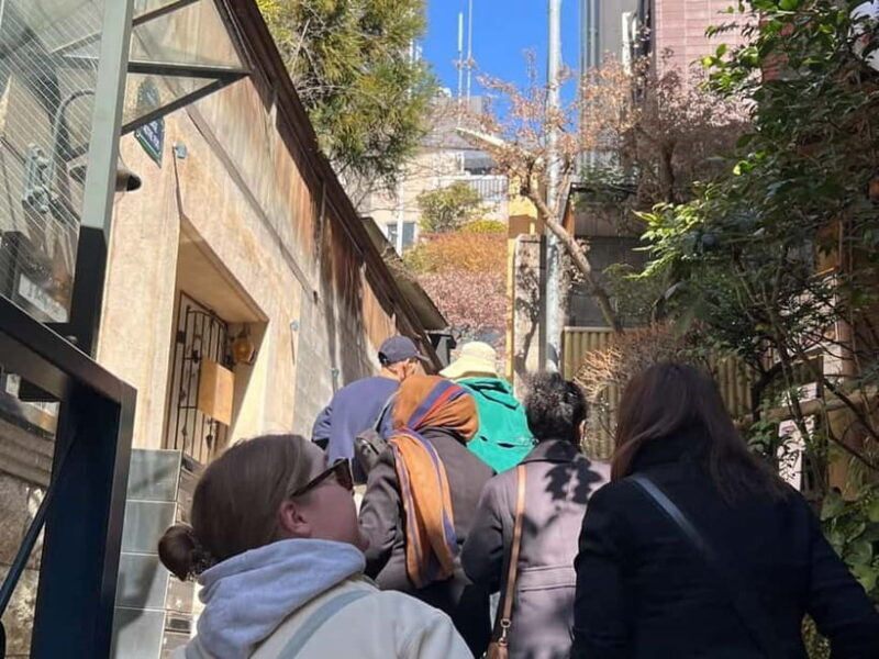 Tokyo: Imperial Palace with Nostalgic Alley Kagurazaka tour - Practical Considerations