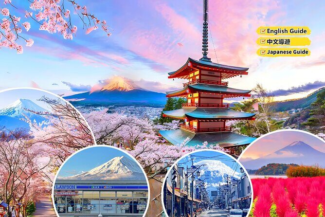 Tokyo Instagram Worthy Mt Fuji and Lake Kawaguchiko Day Trip - Who Is This Tour Best For?