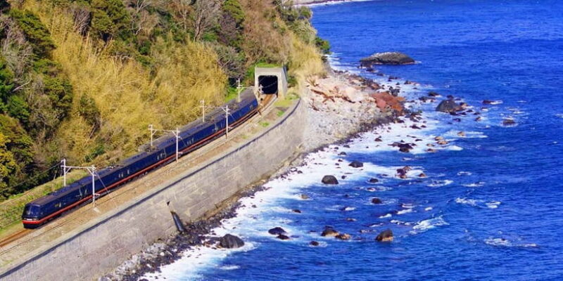 Tokyo: Izu Scenic Oceanview Train, Volcano, Coast Day Trip - Key Points