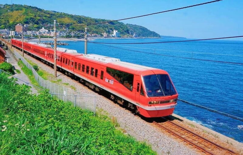 Tokyo: Izu Scenic Oceanview Train, Volcano, Coast Day Trip - What To Expect and What Not To