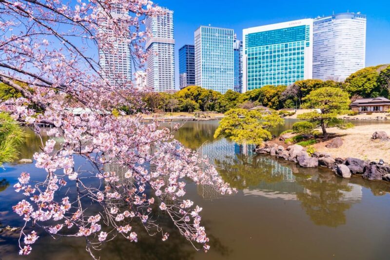 Tokyo: Japanese Garden Walking Tour with Tea and Sweets - Final Thoughts: Why Choose This Tour?