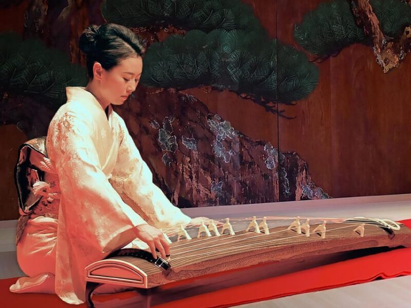 Tokyo: Japanese Traditional Performing Arts Show with Dinner - Final Thoughts
